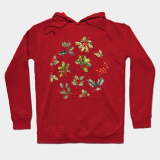 Christmas botany Hoodie